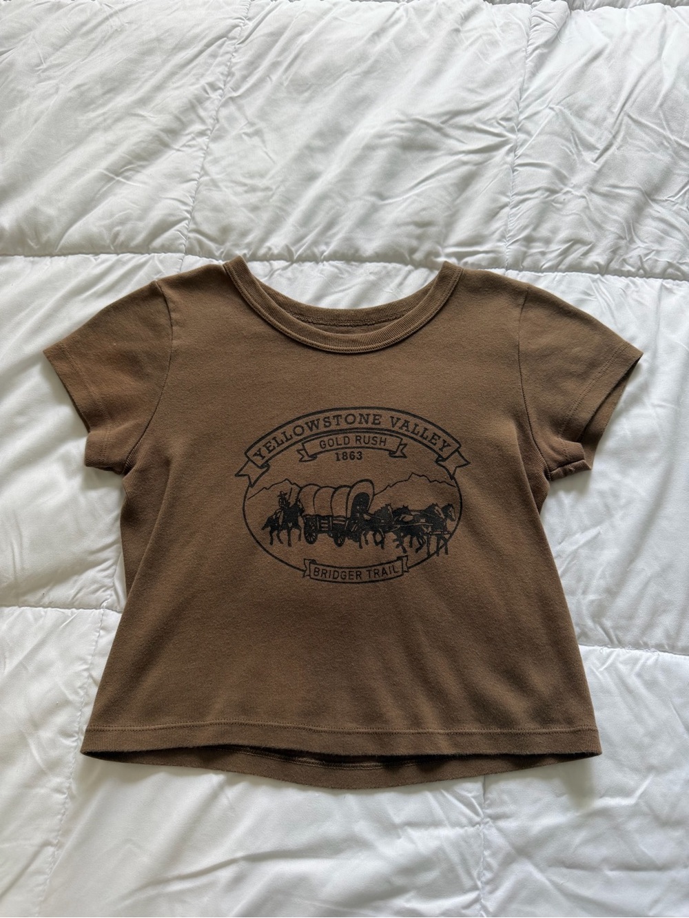 Brandy Melville Brown Graphic Crop Tee - Picture 4 of 5